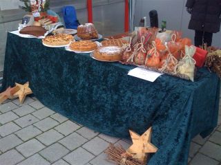 tierhilfe-spikyranch